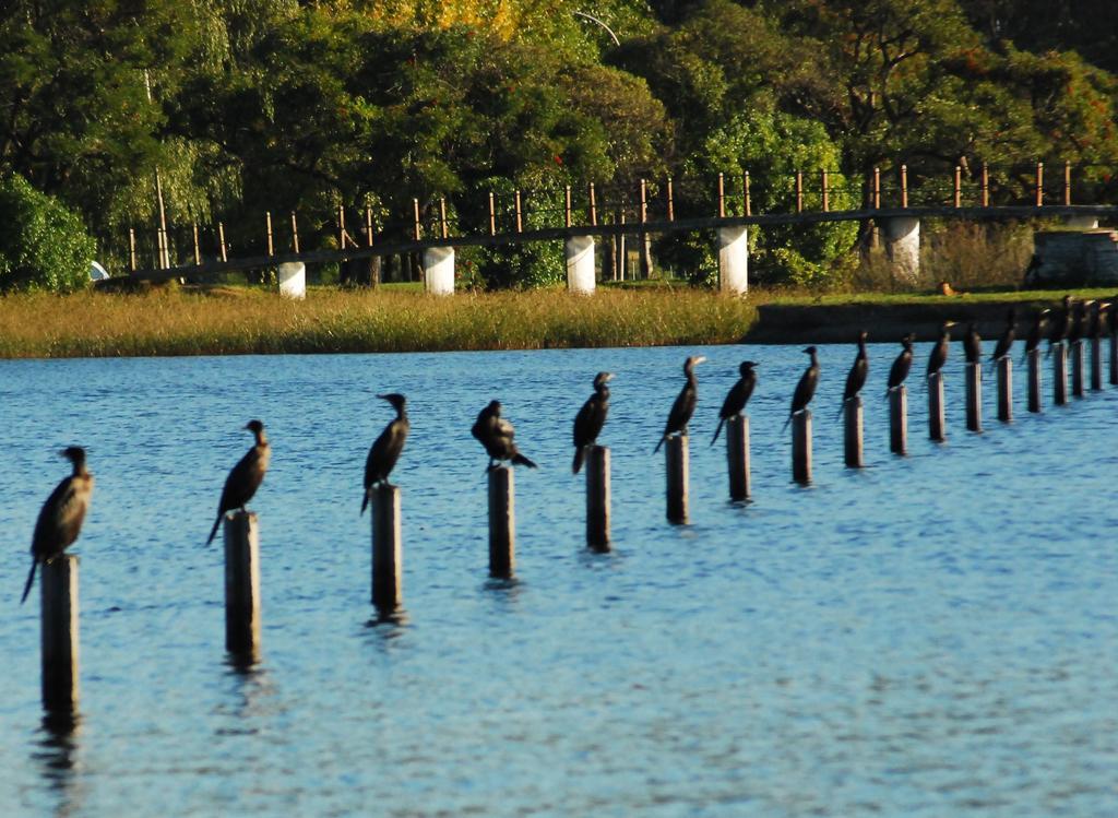Apartamentos Laguna De Navarro Bagian luar foto